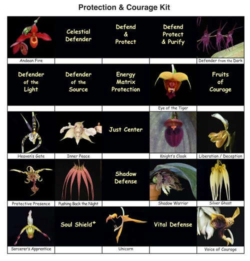 Fotos der 25 Orchideen-Essenzen des Protection & Courage-Sets