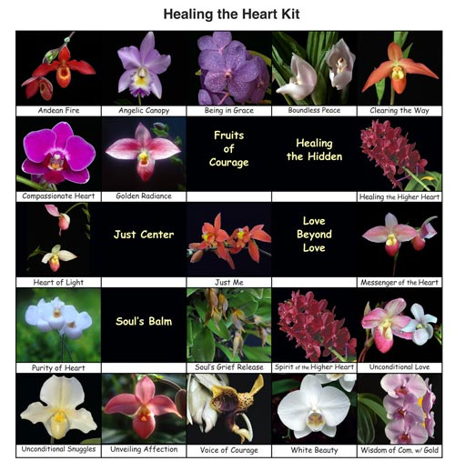 25 Fotos des Orchideen-Essenzen-Set Healing the Heart